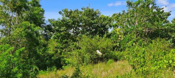 Terrain à South Kuta, Indonesia 2000m² No. 3987 3