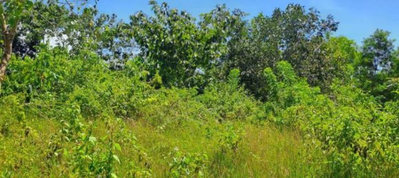 Terrain à South Kuta, Indonesia 2000m² No. 3987 5