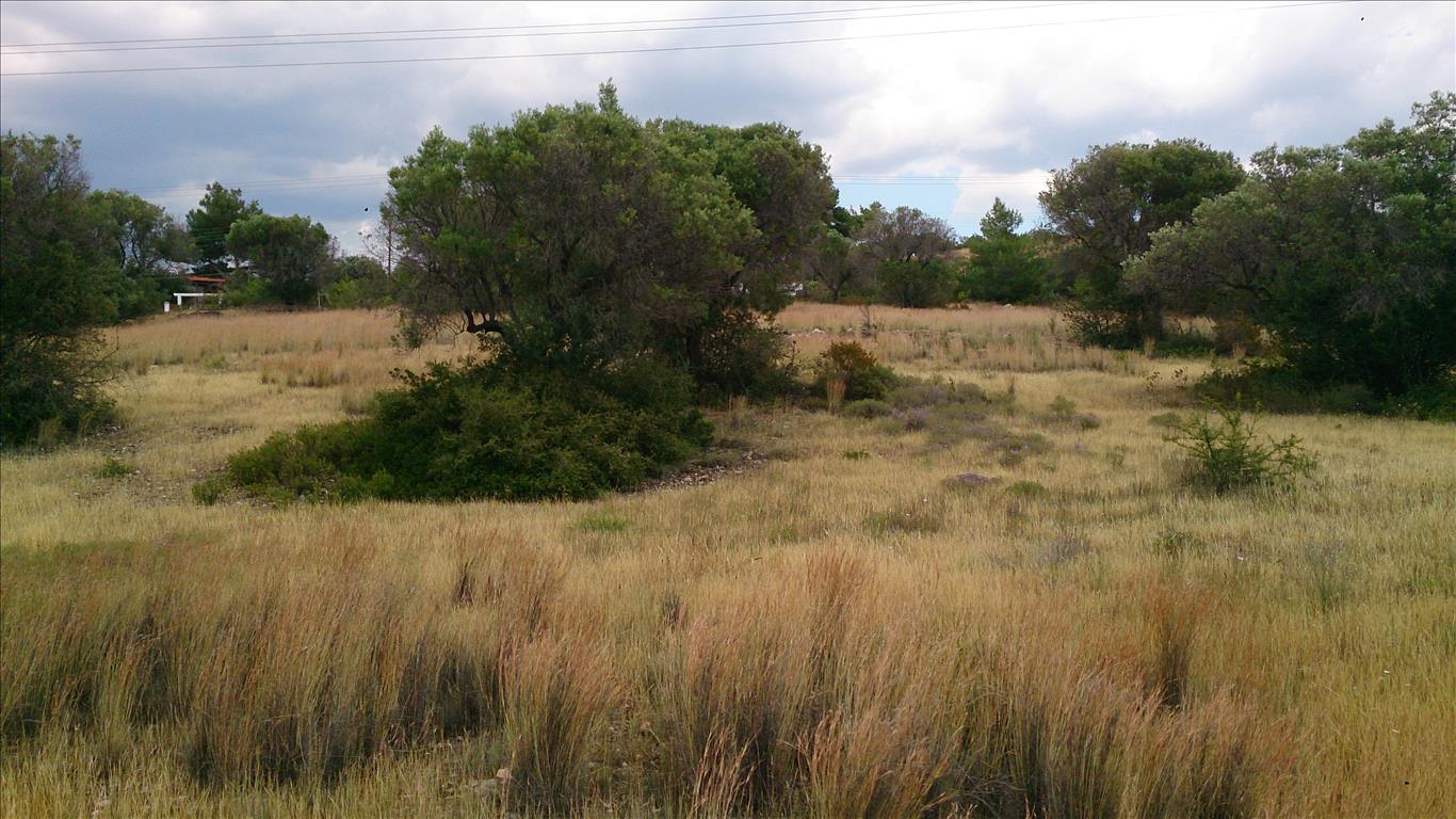 Hôtel à Polygyros, Greece 3613m² No. 4335