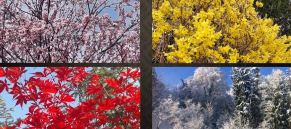 7 rooms Villa in Graz, Austria No. 230213 17