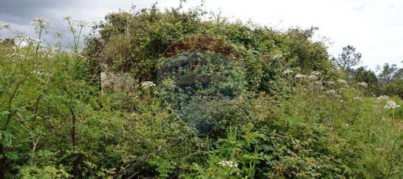 1 bedroom House in Alfarelos, Portugal No. 31316 2