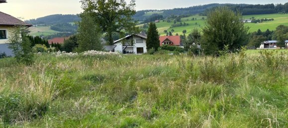  Land in St. Konrad, Austria No. 230940 2