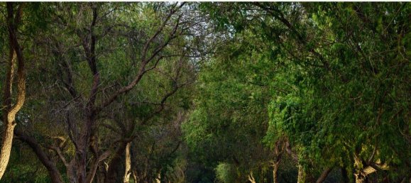 3 غرف نوم فيلا في أبو ظبي, UAE رقم 1319 9