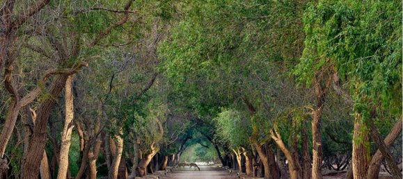 3 غرف نوم فيلا في أبو ظبي, UAE رقم 1319 8