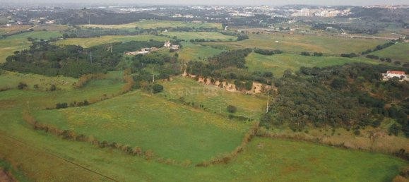 7 bedrooms House in Santarem, Portugal No. 146262 9