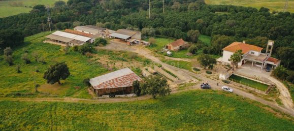 7 bedrooms House in Santarem, Portugal No. 146262 12