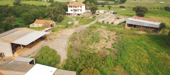 7 bedrooms House in Santarem, Portugal No. 146262 15