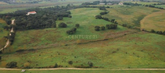 7 bedrooms House in Santarem, Portugal No. 146262 11