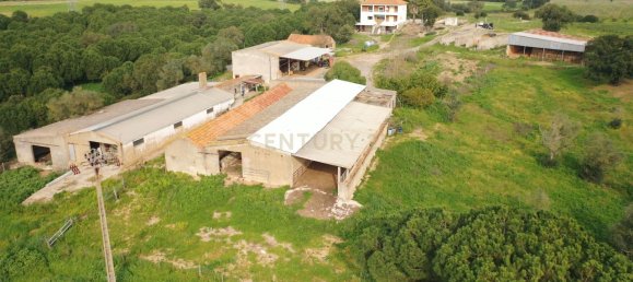 7 bedrooms House in Santarem, Portugal No. 146262 17