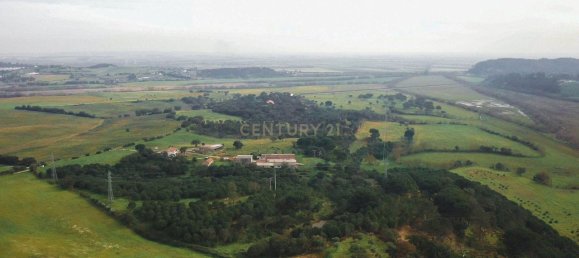 7 bedrooms House in Santarem, Portugal No. 146262 10