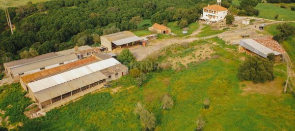 7 bedrooms House in Santarem, Portugal No. 146262 16