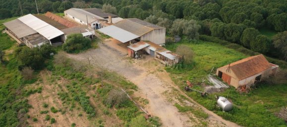 7 bedrooms House in Santarem, Portugal No. 146262 19