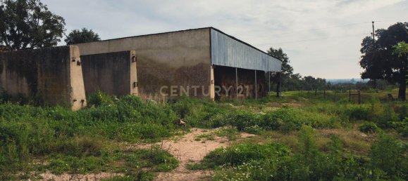 7 bedrooms House in Santarem, Portugal No. 146262 50