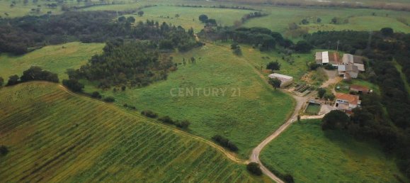 7 bedrooms House in Santarem, Portugal No. 146262 5