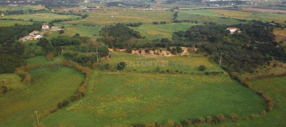 7 bedrooms House in Santarem, Portugal No. 146262 8