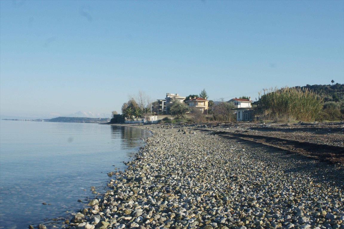 Hotel en Phthiotis, Greece 30000 m² No. 4932