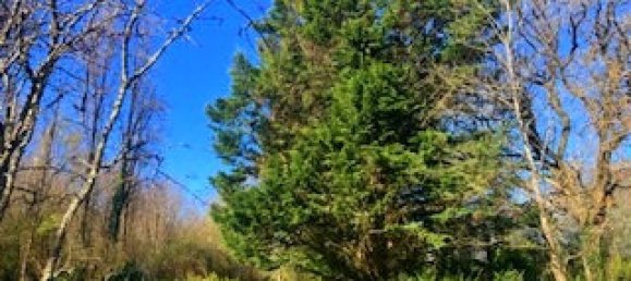 Villa T4 em Sainte-Flaive-des-Loups, France N.º 106446 7