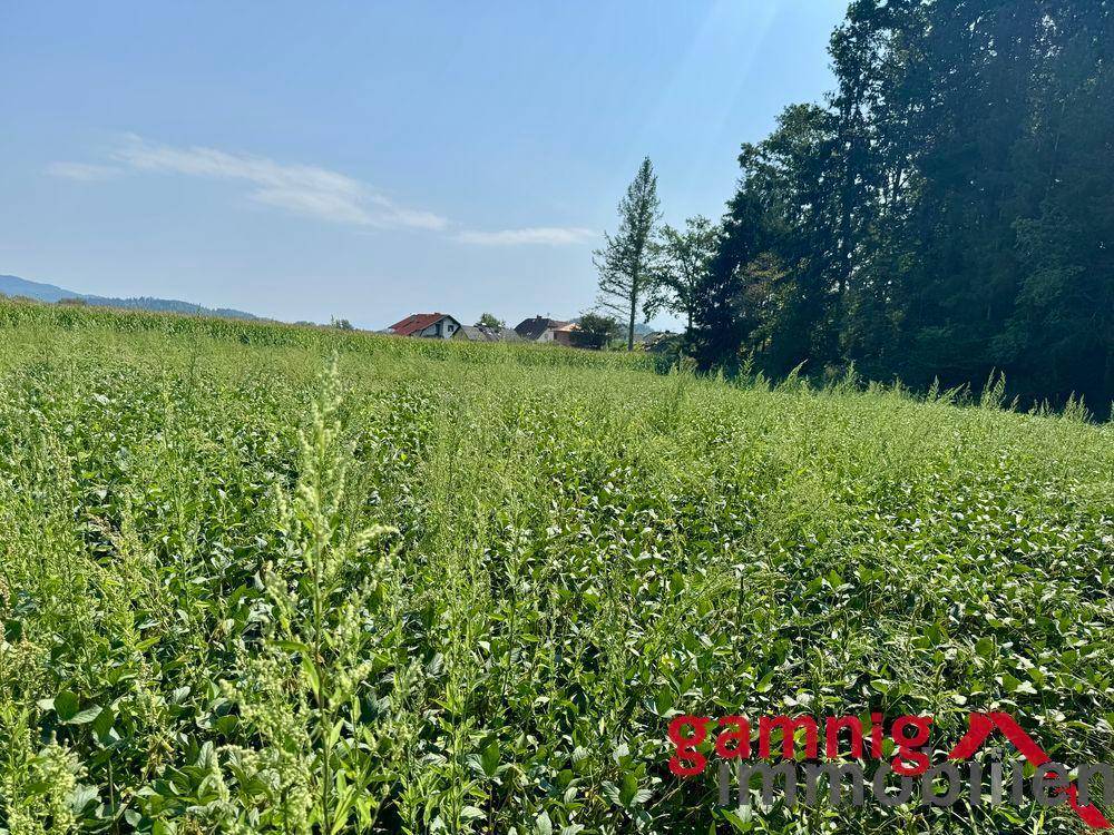 Grundstück in Klagenfurt am Wörthersee, Austria 2800m², Nr. 257578