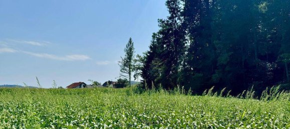 Grundstück in Klagenfurt am Wörthersee, Austria 2800m², Nr. 257578 6