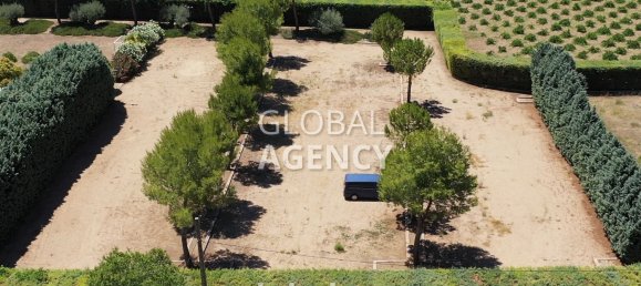 13 bedrooms House in Chinchon, Spain No. 189354 7