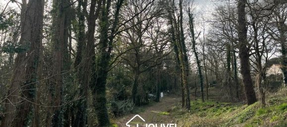 4 bedrooms House in La Roche-sur-Yon, France No. 343043 9