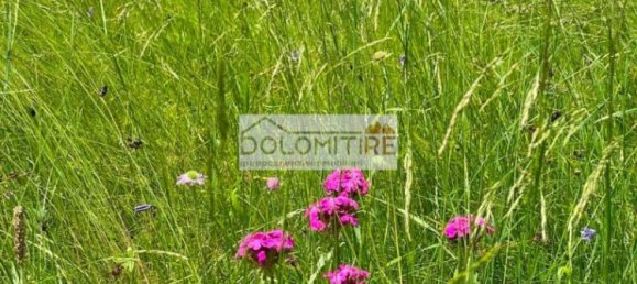 Casa T1 em Valle di Cadore, Italy N.º 290911 18