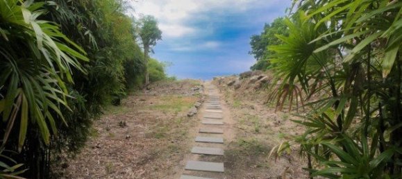 Propiedad comercial en Kamala, Thailand 3932 m² No. 12544 4