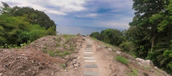 Propiedad comercial en Kamala, Thailand 3932 m² No. 12544 5