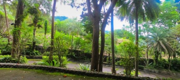 Propiedad comercial en Kamala, Thailand 3932 m² No. 12544 3