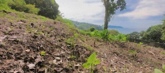 Propiedad comercial en Kamala, Thailand 3932 m² No. 12544 13