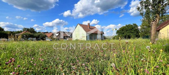  Land in Langenlois, Austria No. 53065 2