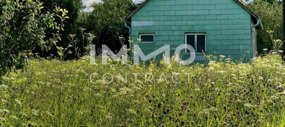  Land in Langenlois, Austria No. 53065 3