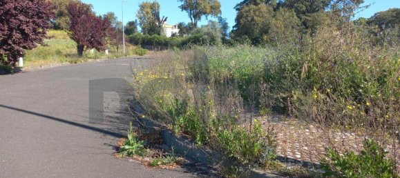 Grundstück in Cartaxo, Portugal 13323m², Nr. 102844 3