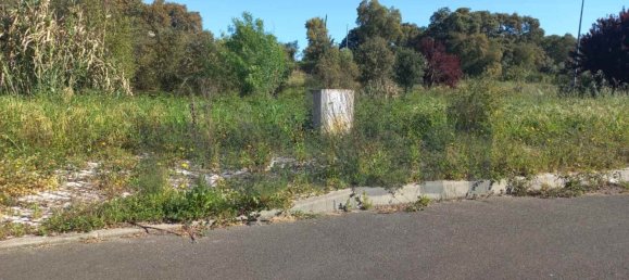 Grundstück in Cartaxo, Portugal 13323m², Nr. 102844 5