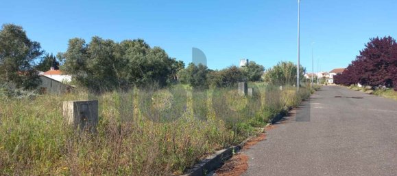 Grundstück in Cartaxo, Portugal 13323m², Nr. 102844 6