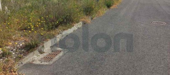 Grundstück in Cartaxo, Portugal 13323m², Nr. 102844 2