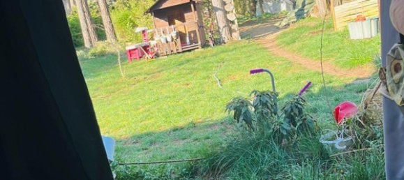 4 chambres Maison à Potsdam-Mittelmark, Germany No. 363274 3