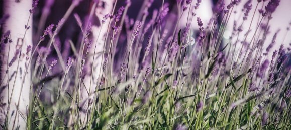 Бунгало с 2 спальнями в Altotting, Германия № 291688 12