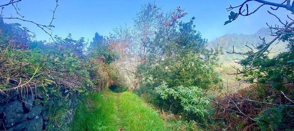 8 bedrooms House in Santana, Portugal No. 184515 26