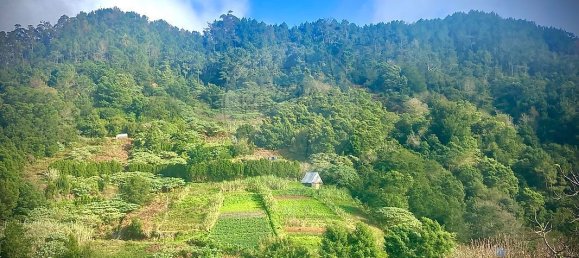 8 bedrooms House in Santana, Portugal No. 184515 13