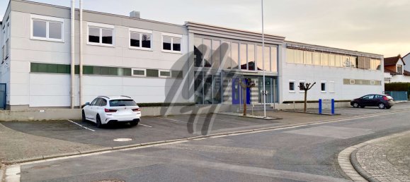 Entrepôt à Main-Kinzig, Germany 4650m² No. 320433 2
