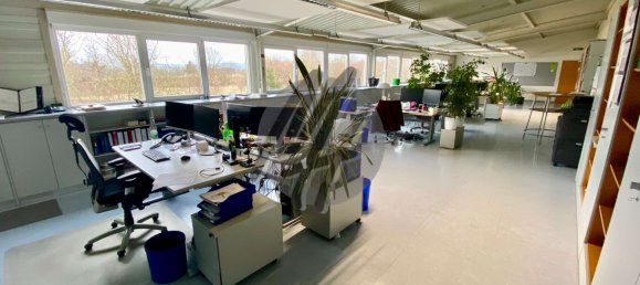 Entrepôt à Main-Kinzig, Germany 4650m² No. 320433 13