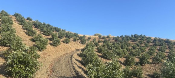 Terrain à Malaga, Spain 16000m² No. 179671 8