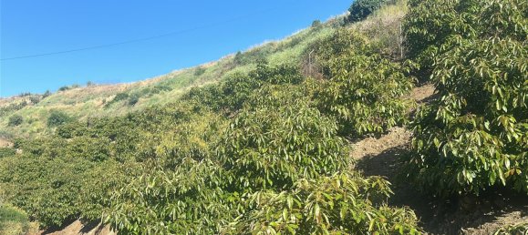 Terrain à Malaga, Spain 16000m² No. 179671 6