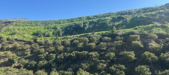 Terrain à Malaga, Spain 16000m² No. 179671 9