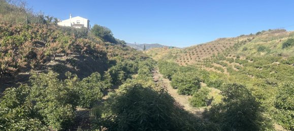 Terrain à Malaga, Spain 16000m² No. 179671 3