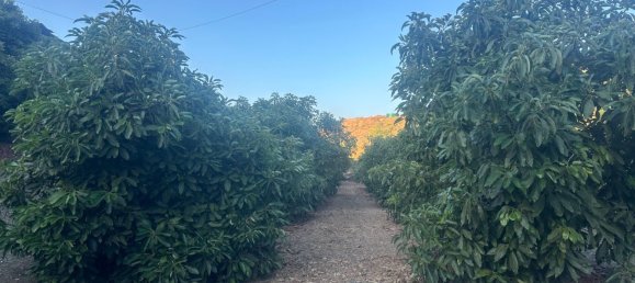 Terrain à Malaga, Spain 16000m² No. 179671 4