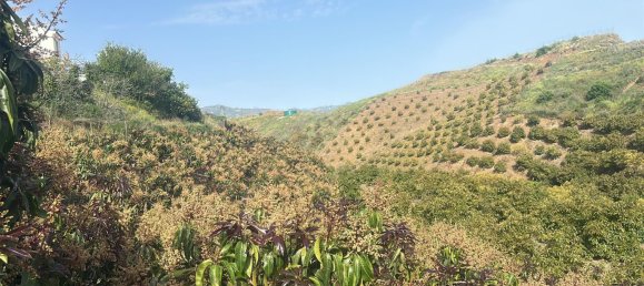 Terrain à Malaga, Spain 16000m² No. 179671 2