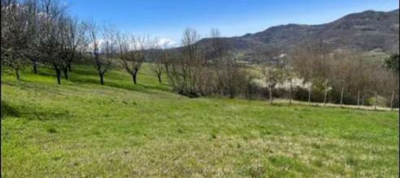 Casa T15 em Montechiaro d'Acqui, Italy N.º 311552 9