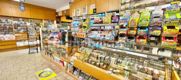 1 room Commercial property in Manerbio, Italy No. 2646 13